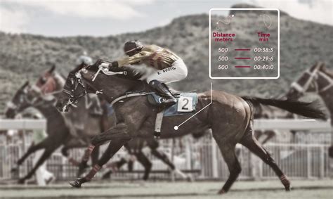 horse race analysis.